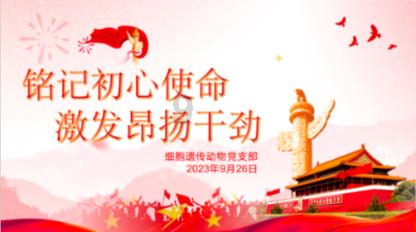 想找对象，身边没有资源，咋办？游戏画面